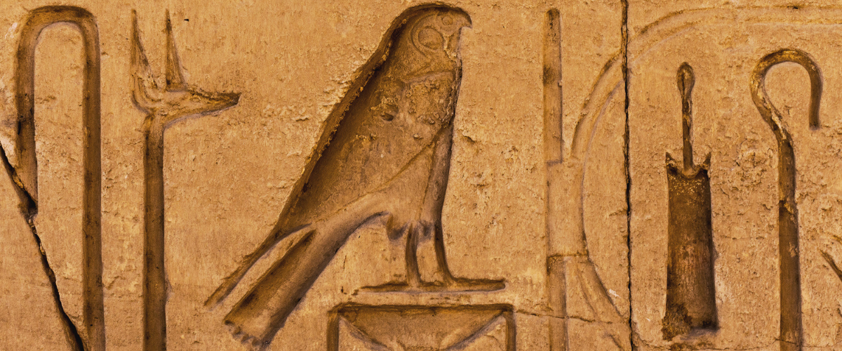 Snorkeling in Red Sea